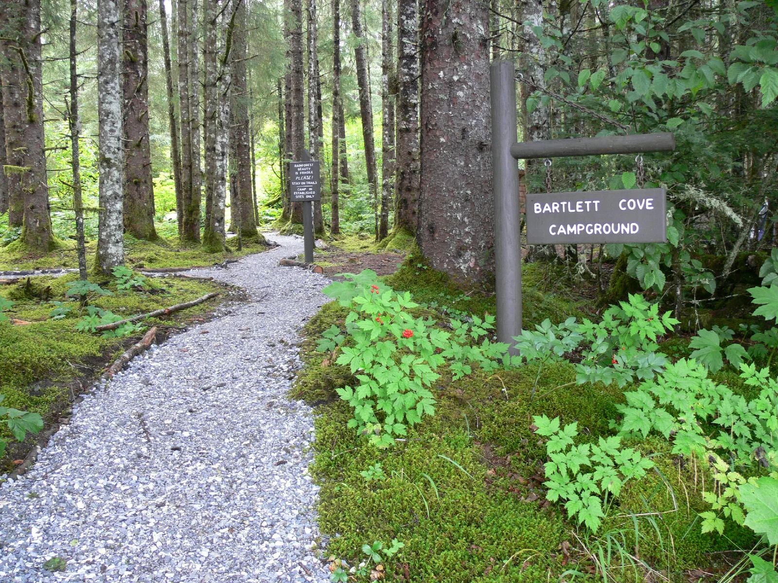 Bartlett Cove Campground