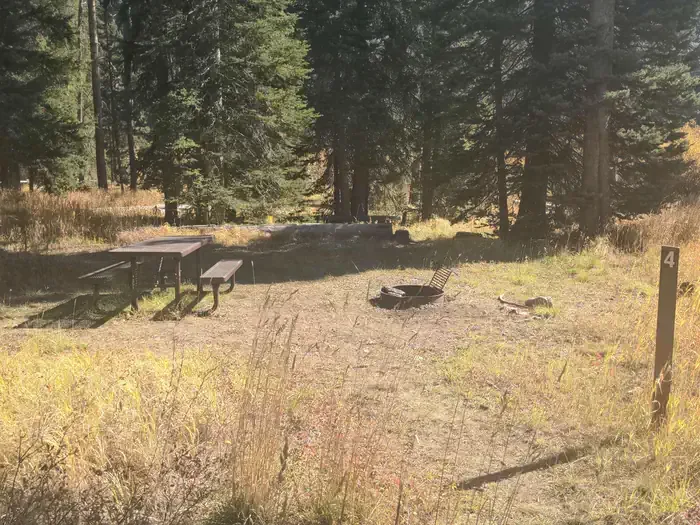 Payette National Forest Big Creek Campground: Big Creek Campground - Campsite 3