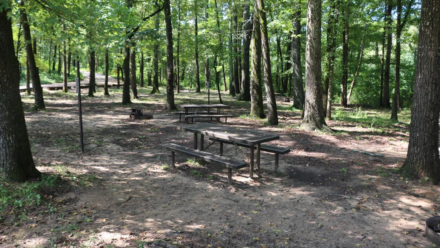 Ozark Campground - Buffalo National River: Picnic tables sitting under a shaded forest.