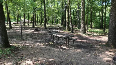 Ozark Campground - Buffalo National River