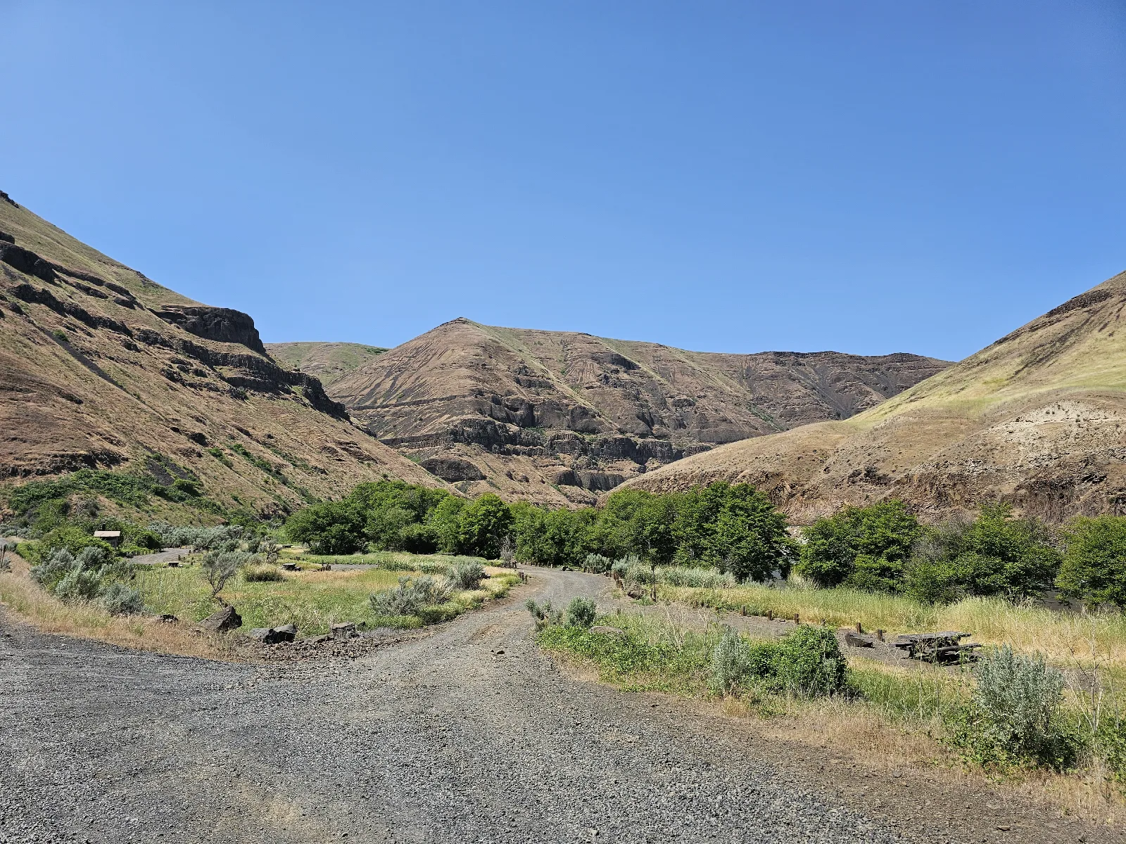 Jones Canyon Campground — View of Jones Canyon Campground and Deschutes River Canyon walls beyond.