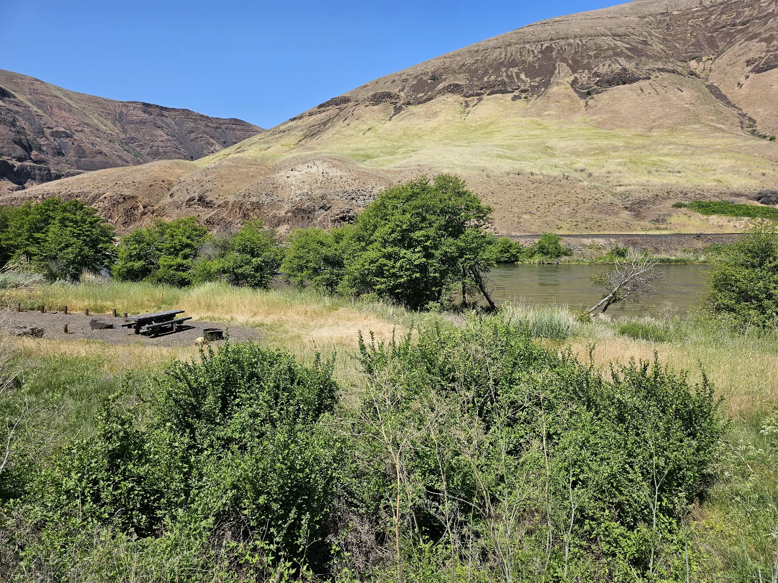Jones Canyon Campground — Campsite 10 at Jones Canyon Campground