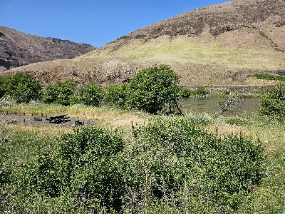 Jones Canyon Campground