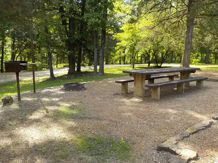 Gunner Pool Recreation Area: Campsite