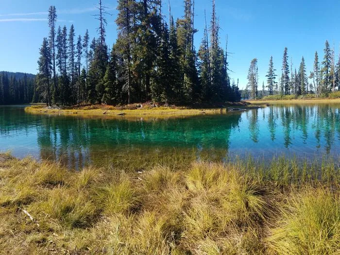 Shadow Bay: Grass, with lake and trees behind.