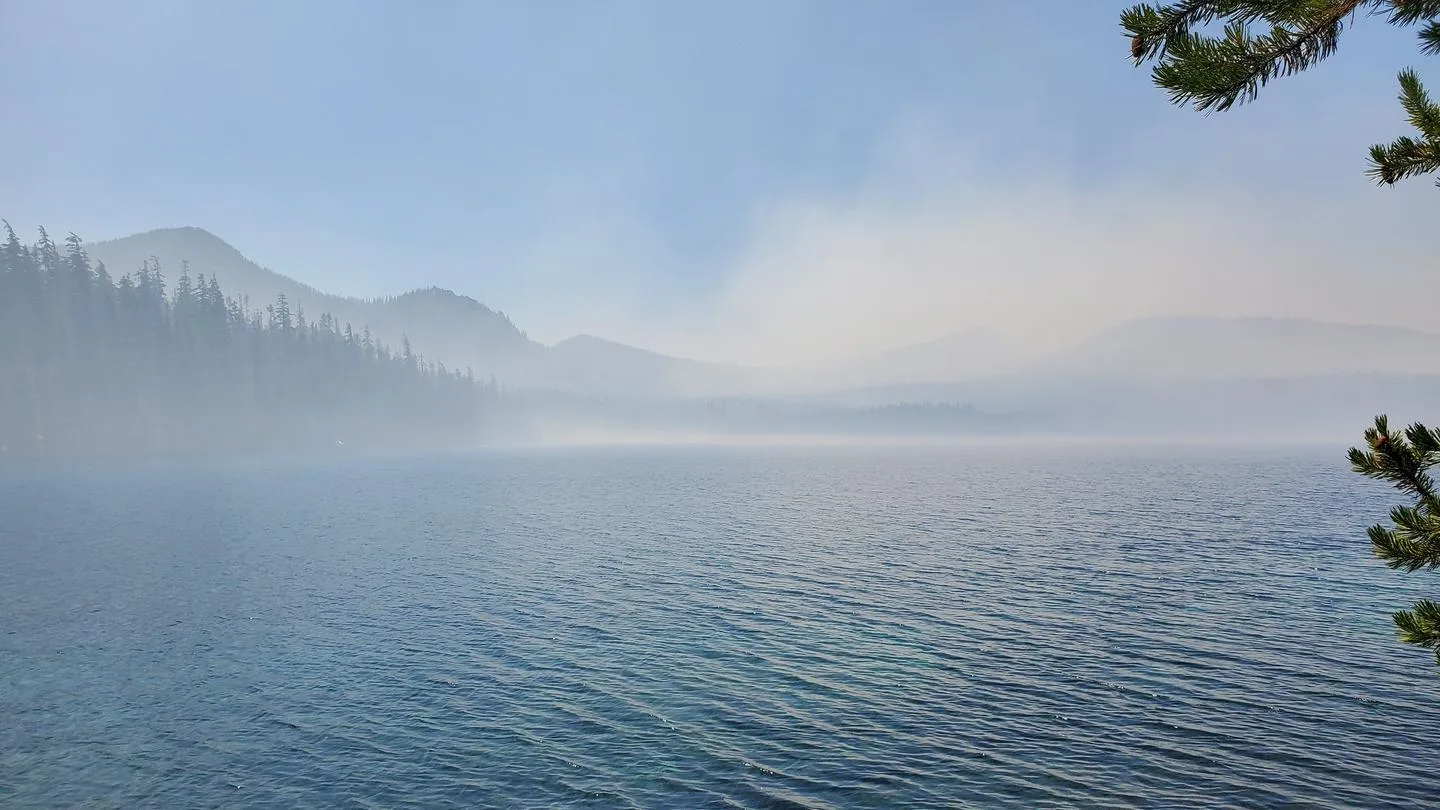 Shadow Bay: misty lake with trees behind.
