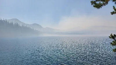 Shadow Bay