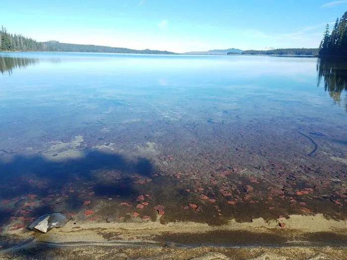 Shadow Bay: Clear Lake with stones, mountains and trees visible off in the distance.
