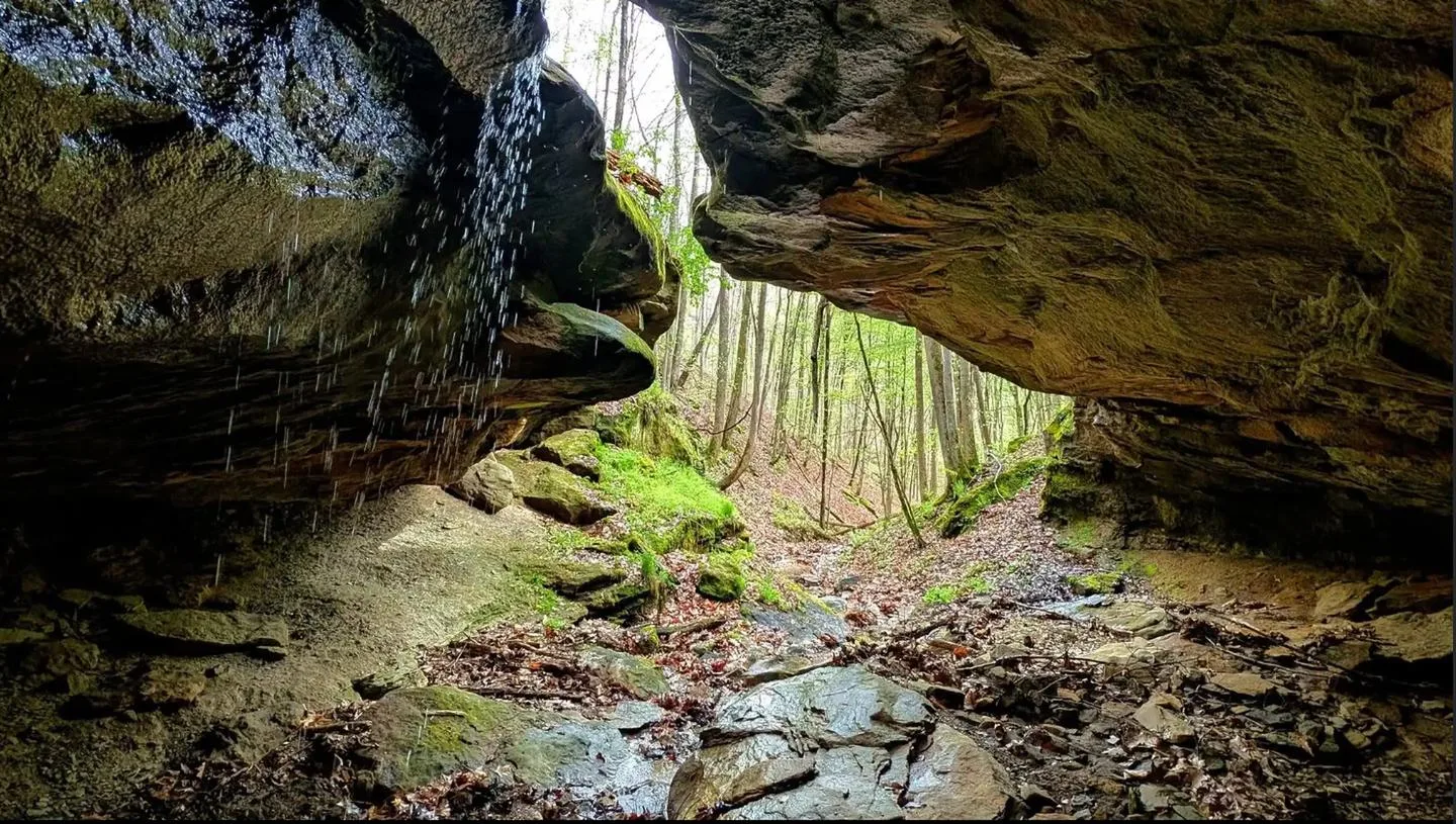 Beech Fork Shelters: Hiking Trail
