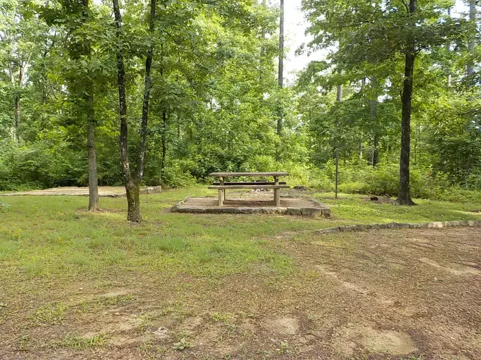 Ozone Recreation Area Camping: Campsite