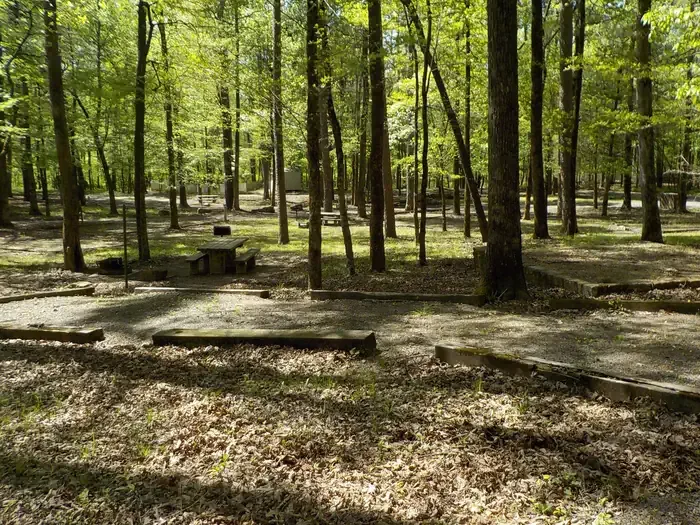 Shores Lake: Campsite