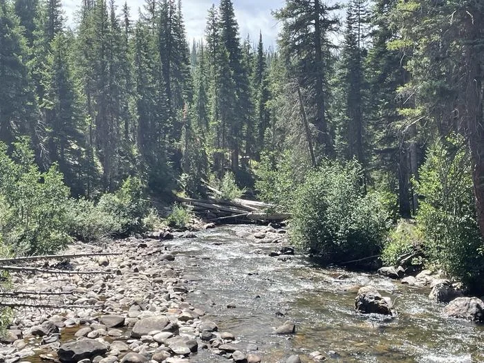 Routt National Forest Seedhouse Campground: Seedhouse river next to campground