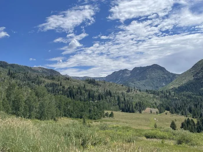 Routt National Forest Seedhouse Campground: View of Mount Zirkel Wilderness driving to Seedhouse Campground