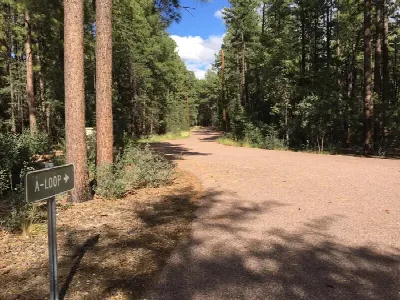 Ponderosa Campground (AZ) Tonto National Forest