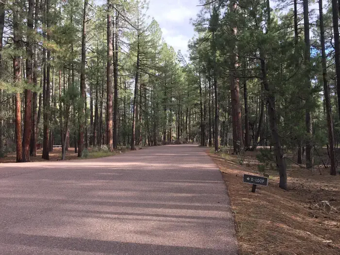 Ponderosa Campground (AZ) Tonto National Forest