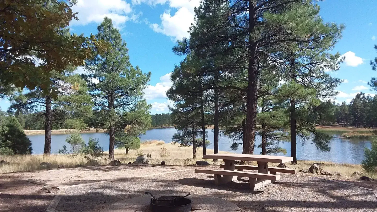 Kaibab National Forest White Horse Lake Campground: Beautiful view of the lake with a picnic table, fire ring and trees in the background