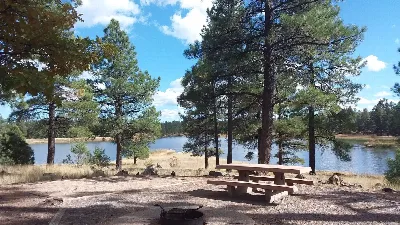 Kaibab National Forest White Horse Lake Campground