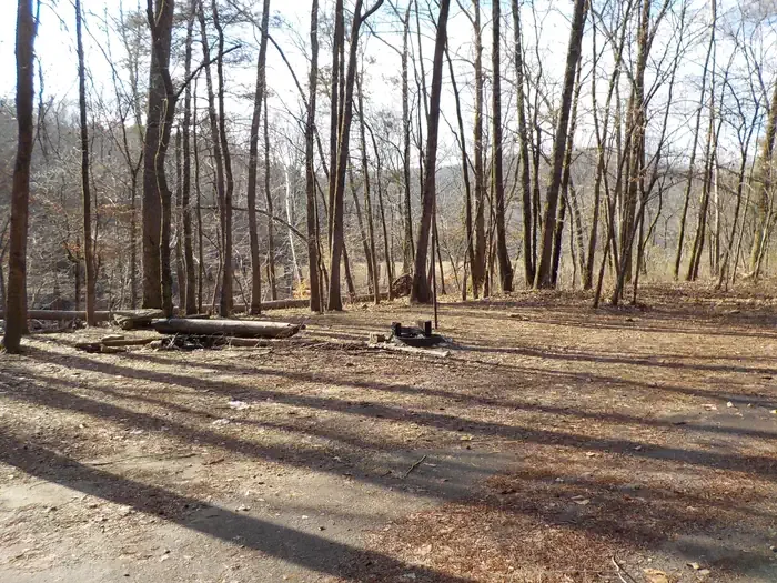 Wolf Pen Recreation Area Campground: Campsite #2