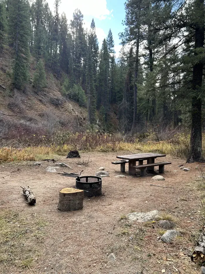 Ten Mile Campground: Campsite with picnic table and fire ring