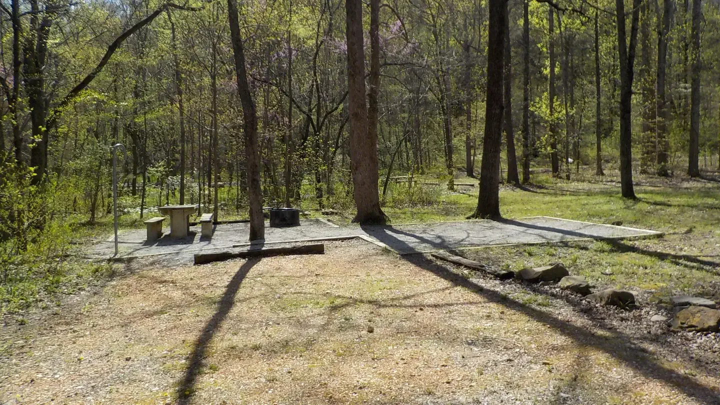 Richland Creek Recreation Area: Campsite