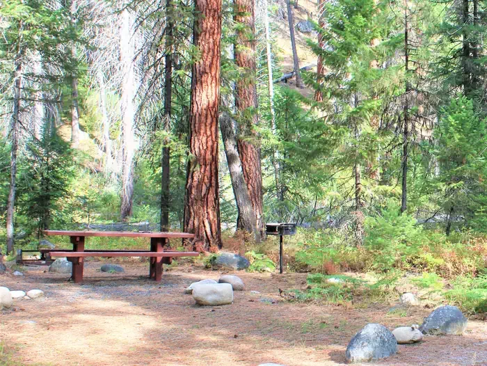 Secesh Campground: Campsite in the ponderosa pines with picnic table and fire grill.