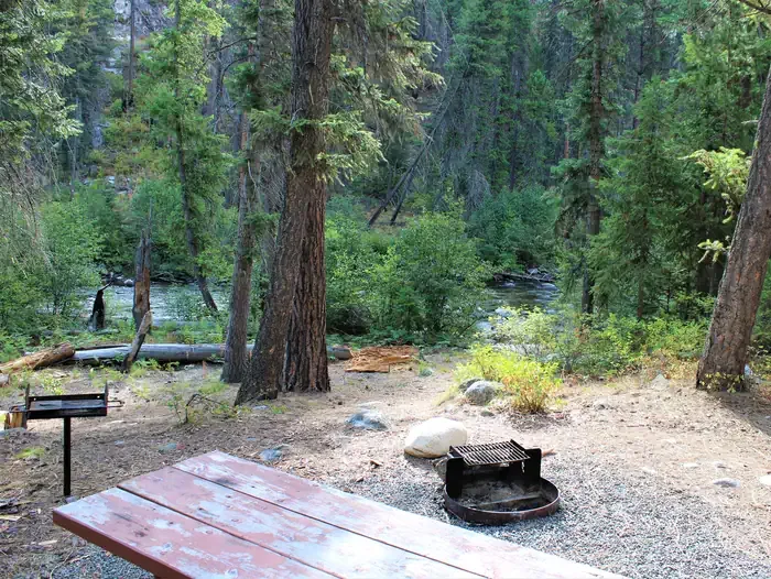 Secesh Campground: View of river from campsite with picnic table and fire ring.