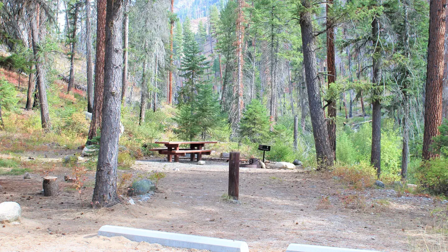 Secesh Campground: Campsite in the pines with picnic table and fire grill.