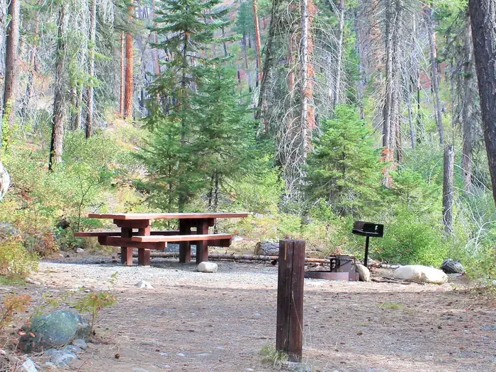 Secesh Campground: Campsite in the forest with picnic table and fire grill.