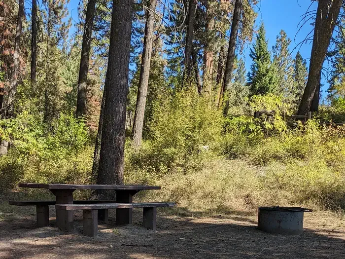 Cabin Creek Campground: Crisp blue skies over the forest campsite with a picnic table and fire ring.