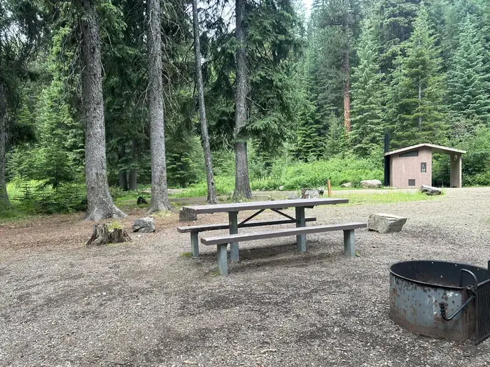 Huckleberry Campground: Campsite with fire ring and picnic table edged by pine trees with toilet building in the background.