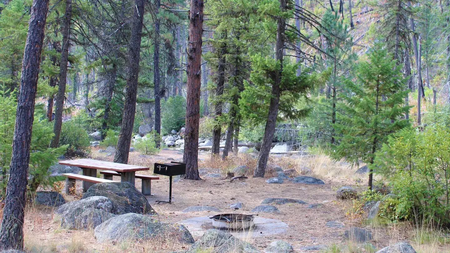 Ponderosa Campground: Forested campsite with picnic table, fire ring and grill.