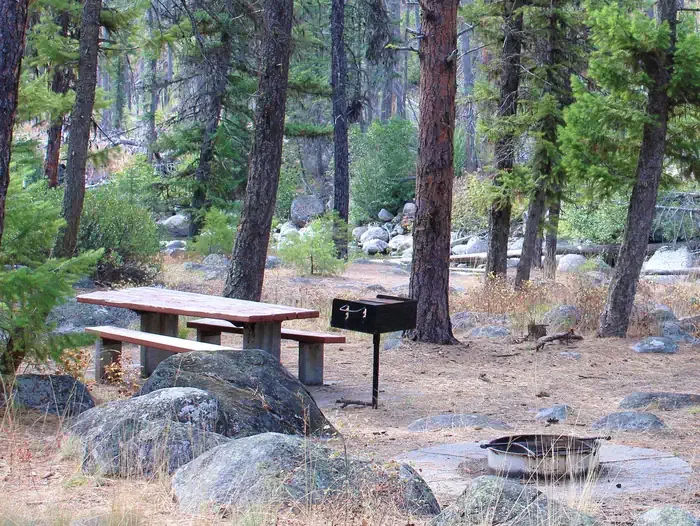 Ponderosa Campground: Forested campsite with picnic table, pedestal grill and fire pit.