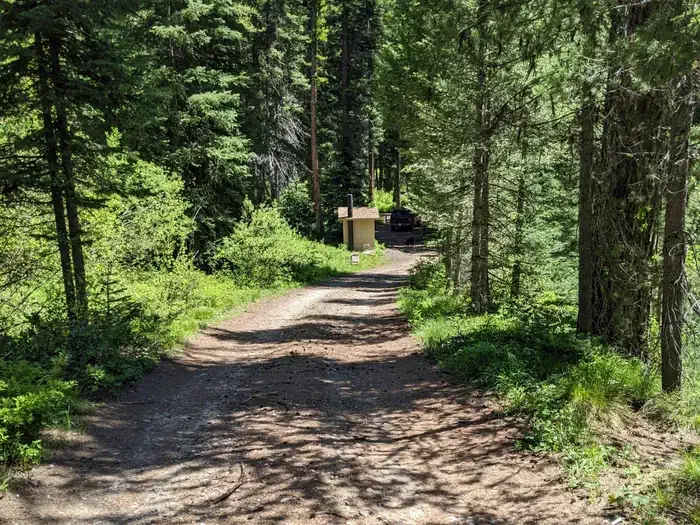 Lake Fork Campground: Narrow, one-lane access road to north loop of campground.