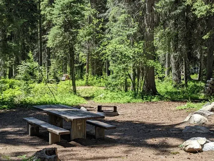 Lake Fork Campground: Lake Fork Campground Site 3 - with picnic table, and fire pit. Pine forest setting.