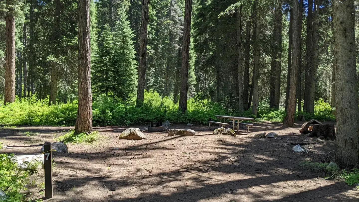 Lake Fork Campground: Lake Fork Campground site 7