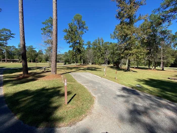 Big Biloxi Recreation Area: Typical campsite at Big Biloxi Campground