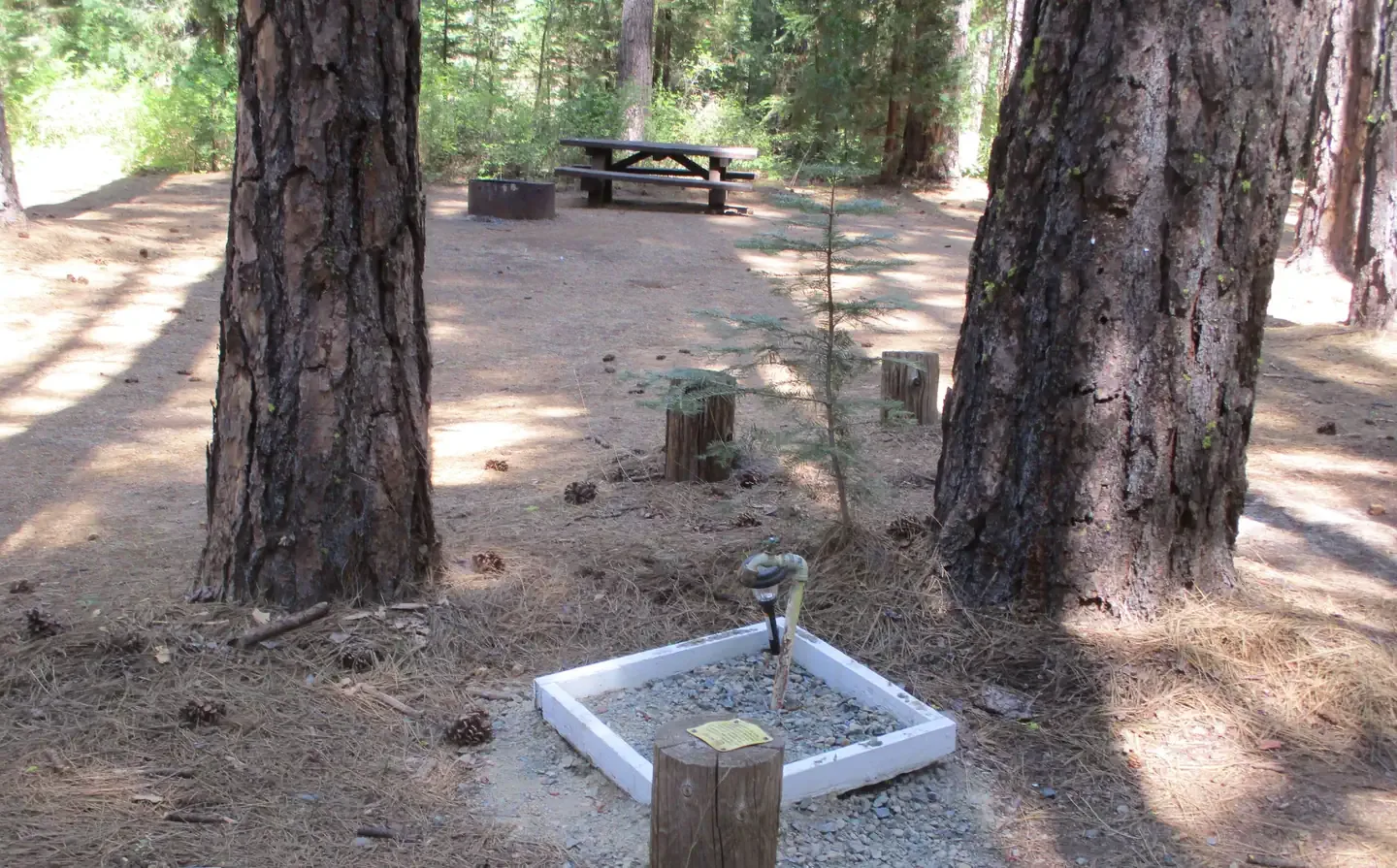 Greenville Campground: Water