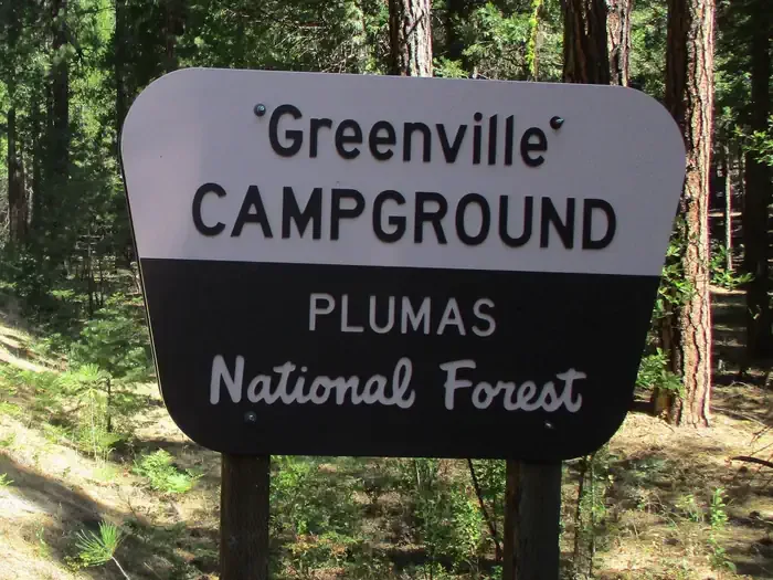 Greenville Campground: View of a campsite in Greenville Campground