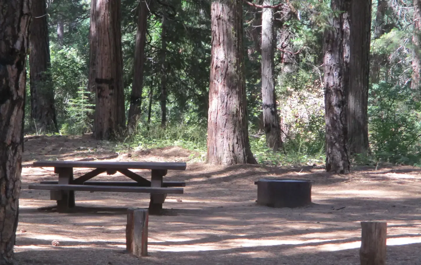 Greenville Campground: Campsite