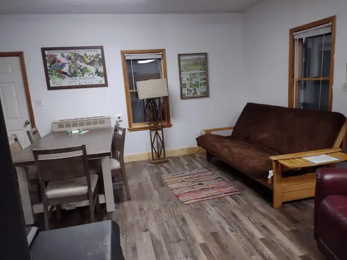 Ear Mountain Cabin: Living room of cabin with sofa, dining table and lamp