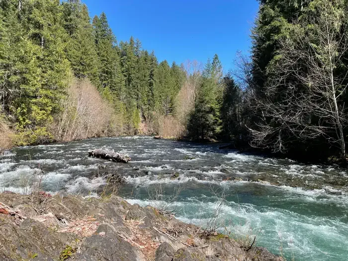 Sacandaga Campground: A wide and fast-moving river is shown. There is a rocky bank nearby while the bank further along is lined with trees.