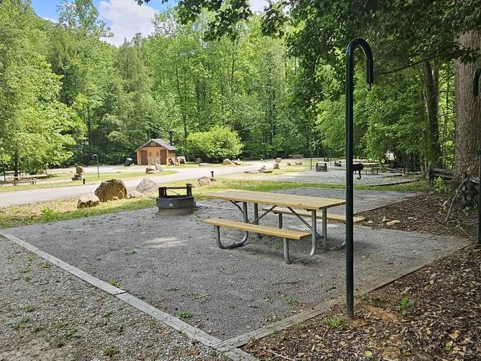 Curtis Creek Campground: Curtis Creek Campground Loop