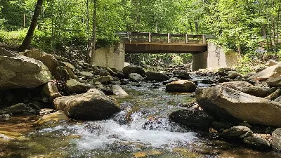 Curtis Creek Campground