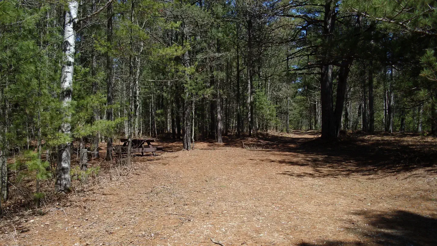 Island Lake Campground: Island Lake Campground - Individual Site
