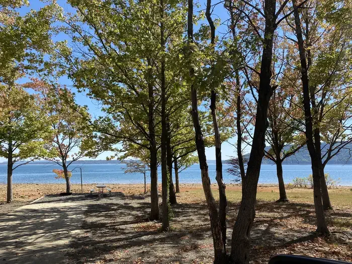 Shiloh - Greers Ferry Lake: Shiloh Park