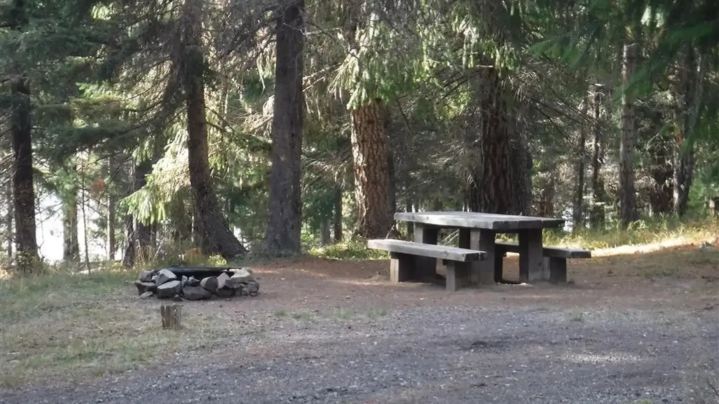 Umpqua National Forest Bunker Hill Campground: Flat gravel driveway leading to campsite with picnic table and fire ring in pine forest.