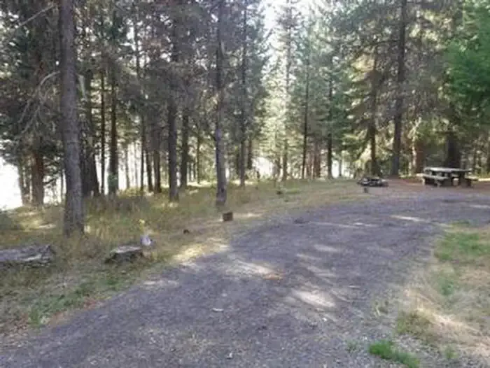 Umpqua National Forest Bunker Hill Campground: Flat gravel driveway leading to campsite with picnic table and fire ring in pine forest.