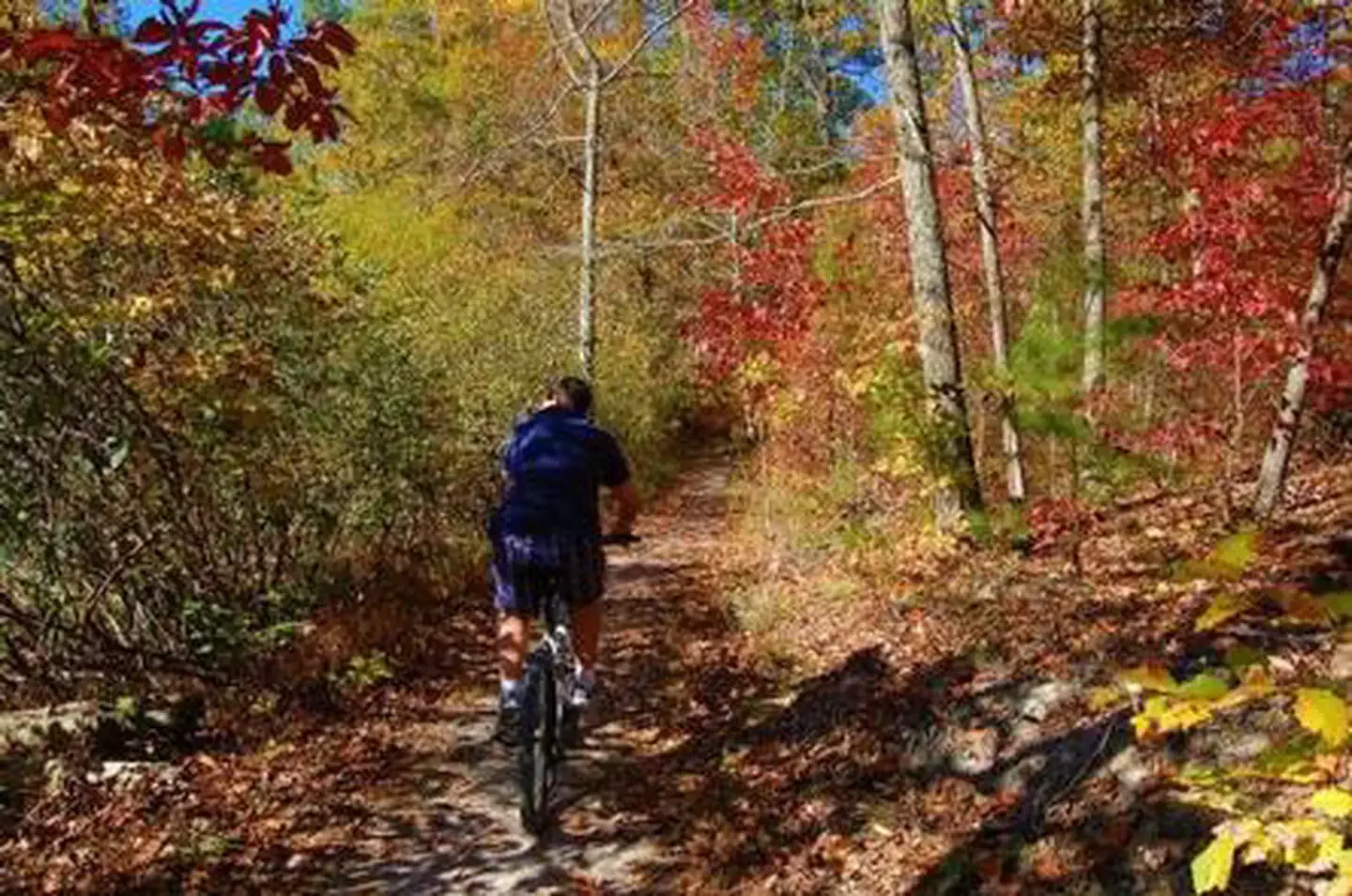 Cherokee National Forest Chilhowee Campground: McKamy Lake Trail