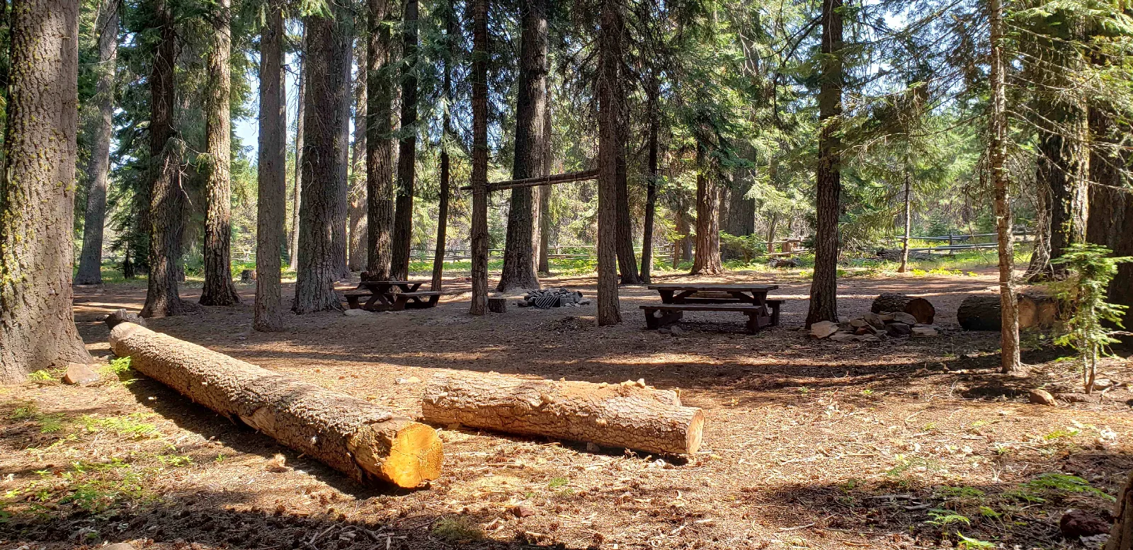 Surveyor Recreation Site — View of campsite at Surveyor Recreation Site.
