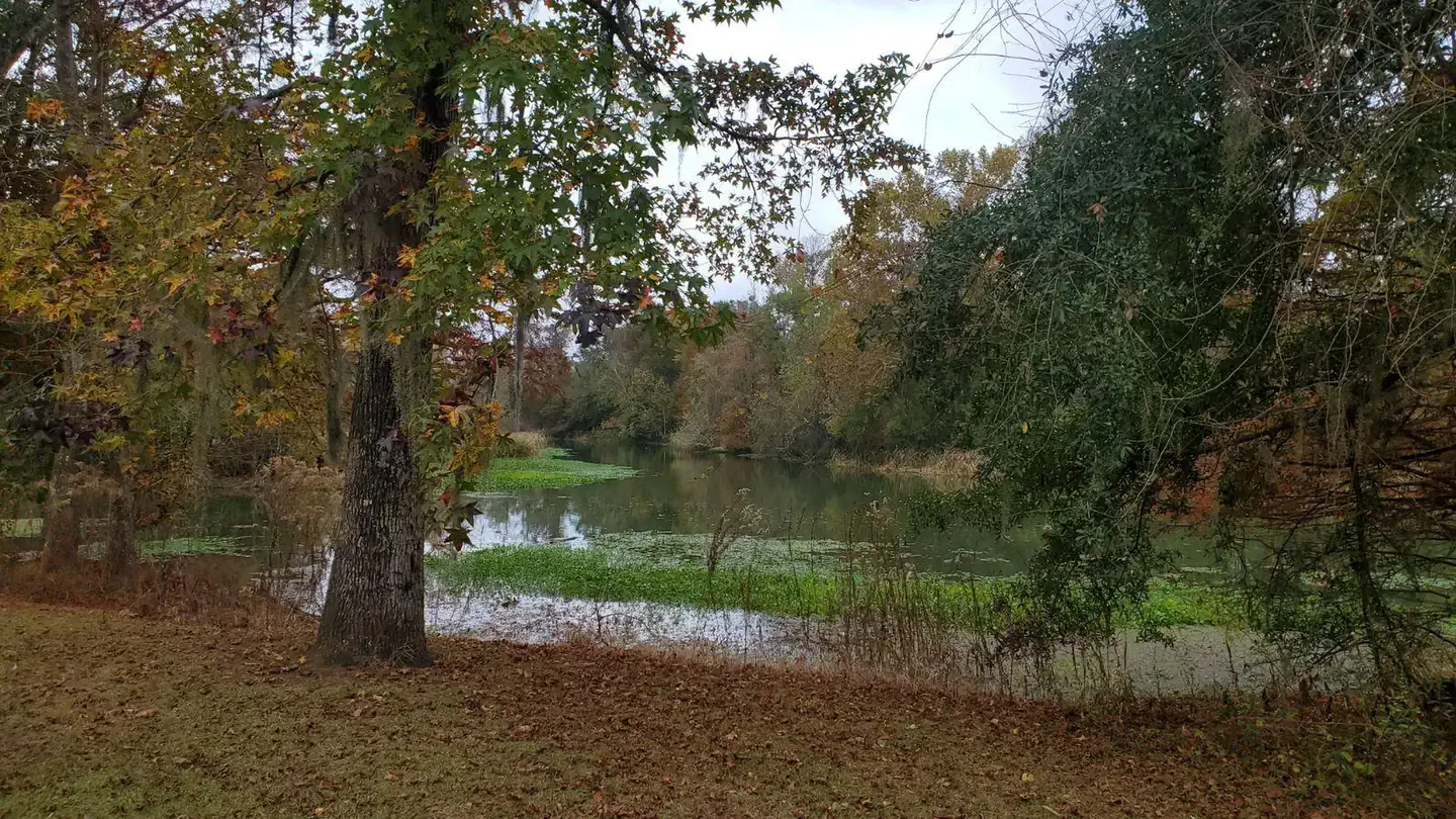 Hales Landing Campground: Scenery at Hale's Landing